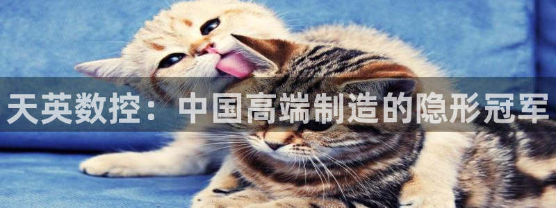 天辰娱乐官方登录下载:天英数控:中国高端制造的隐形冠军
