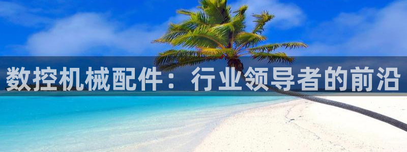 天辰娱乐22650:数控机械配件:行业领导者的前沿