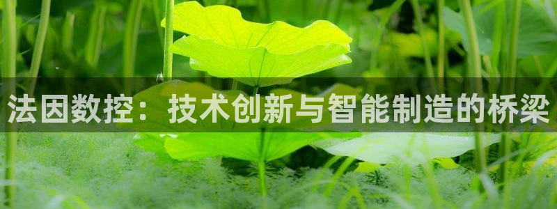 天辰 娱乐注册:法因数控:技术创新与智能制造的桥梁