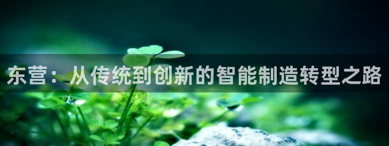 天辰娱乐39596:东营:从传统到创新的智能制造转型之路