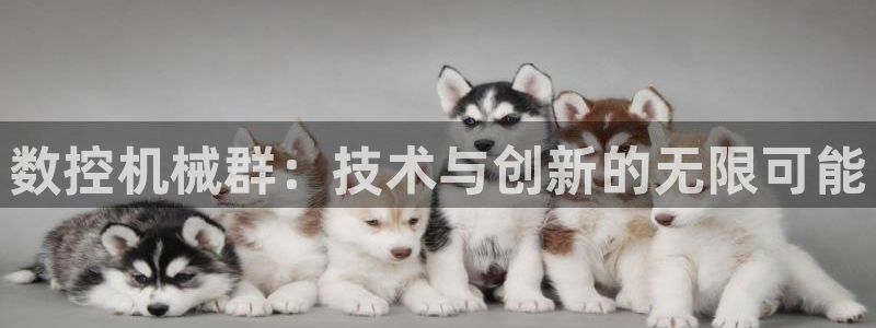 天辰娱乐注册:数控机械群:技术与创新的无限可能