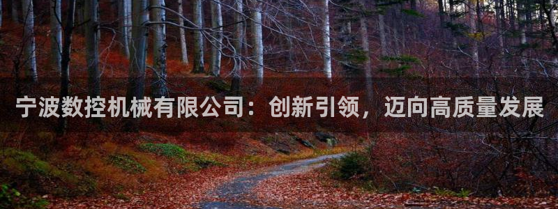 天辰登陆娱乐:宁波数控机械有限公司:创新引领,迈向高质量发展