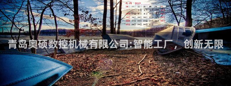 天辰娱乐官网平台入口:青岛奥硕数控机械有限公司:智能工厂,创新无限