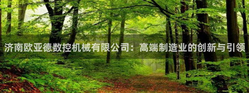 天辰国际娱乐:济南欧亚德数控机械有限公司:高端制造业的创新与引领